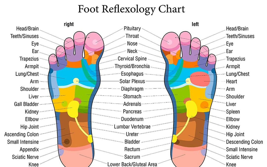 Foot-Reflexology-Chart