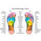 Foot-Reflexology-Chart