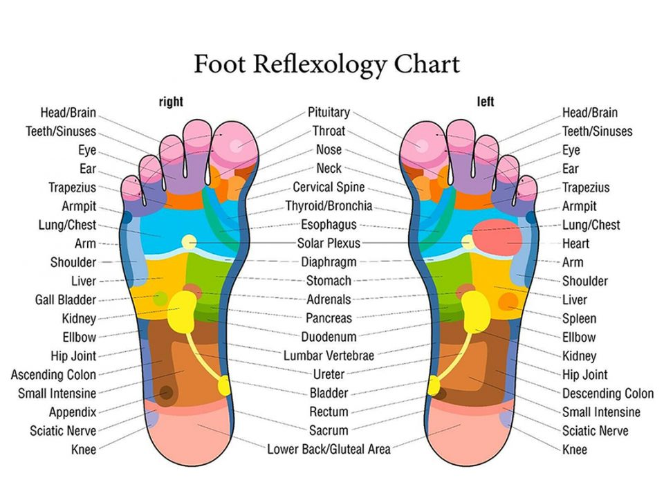 Foot-Reflexology-Chart