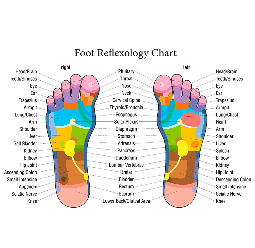 Reflexology - Country Charm Health and Massage